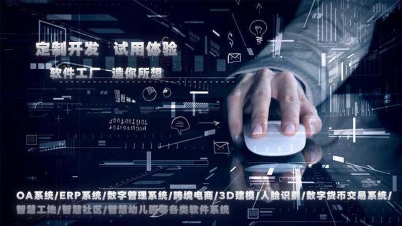 重庆软件定制